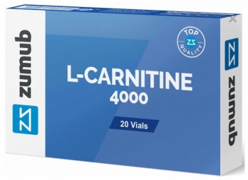 L-CARNITINE 4000